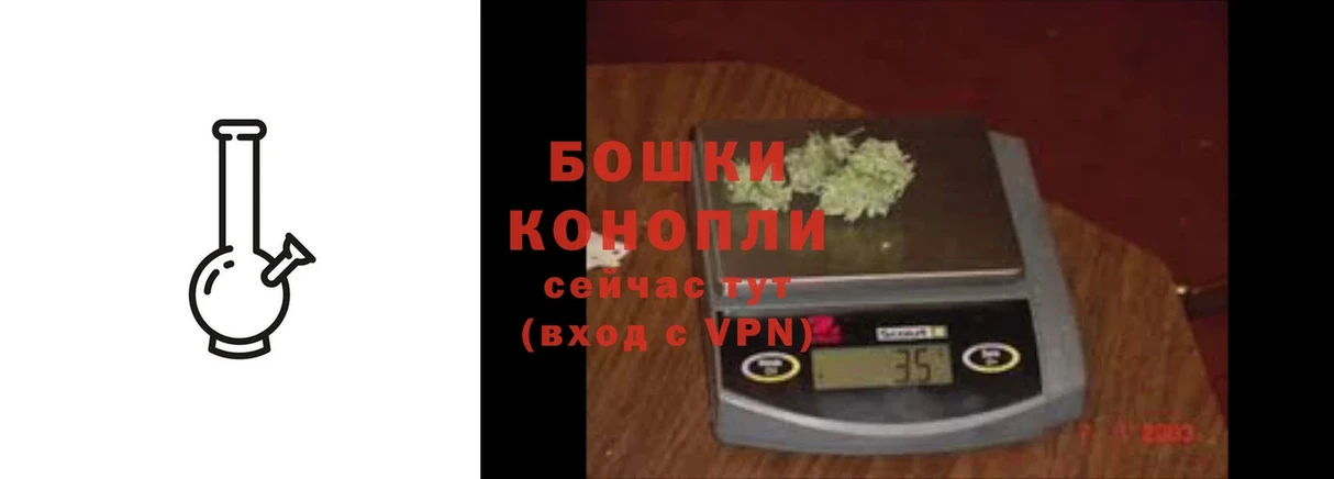 Канабис THC 21%  где найти наркотики  Сертолово 